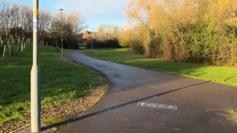 BBC A curving shared cycle/pedestrian footpath which joins a main road in the distance. In the foreground is a lamppost, and on the bank behind it tree saplings have been planted, and to the right of the path is grass and hedges. 