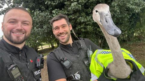 Two police officers with a swan