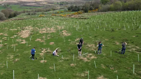 Ulster Wildlife The photograph is taken from high up, looking down onto a grassy field. Six different people can be seen spread out, planting the trees for the restoration project.