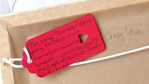 SBUHB Close up of a red label on the back of a picture frame, which reads: "The name 'Mumbles' comes from the French word 'mamelles' meaning breasts, which refers to the shape of the two islands at its head". Next to the label the words 'Crazy idea' are written.