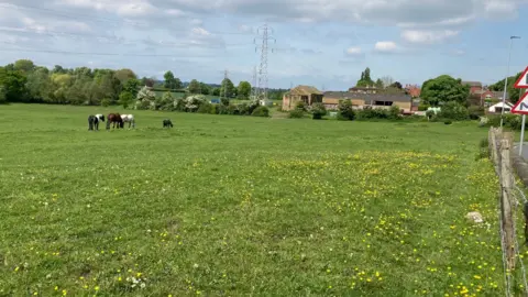 Four horses stand in a field near some farm buildings.