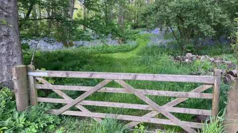 Donald Stewart Wooden gate in the foreground opening onto a narrow grassy path winding through a woodland filled with trees and patches of purple wildflowers.