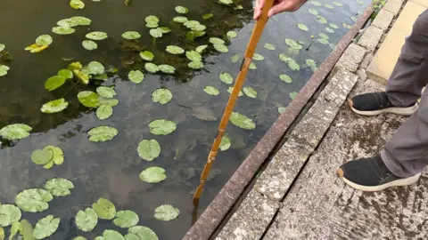 A person holds a folding wooden rule down into the water from a stone canal edge. Lily pads cover much of the surface around it. The legs and black shoes of the person can be seen on the paved bank beside the water.