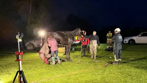 Oxfordshire Fire and Rescue Service Several people standing around a large dark-brown horse in a field with large lights set up - the horse has just been rescued from a muddy gully.
