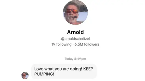 Old Man Mick/TikTok A social media profile page on a white background shows an account called “Arnold” with 6.5 million followers and a photo of Arnold Schwarzenegger in sunglasses and with a cigar in his mouth. Beneath the profile details is a message that reads: “Love what you are doing! KEEP PUMPING!”.