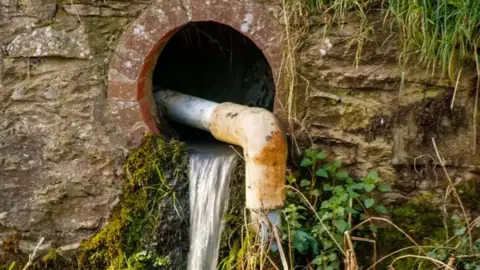Water coming out of a pipe in the wall and flowing into a stream.