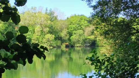 Andrew Franklin A clear lake is surrounded by green trees, which can be seen reflected in the waters.