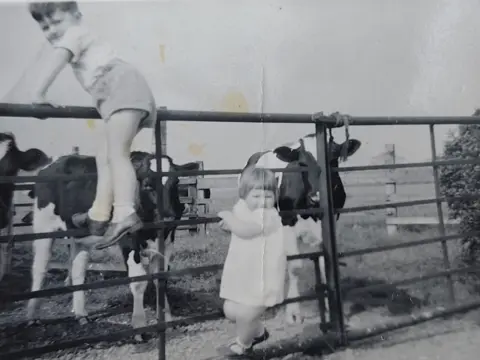 Sue Bussey A black and white photo shows a young boy climbing on a metal fence wearing shorts and a t-shirt. A little girl in a dress is also on the lower part of the fence. Behind them is two cows 