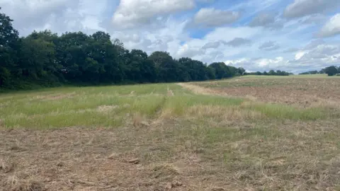 BBC News A field on which solar panels will be installed