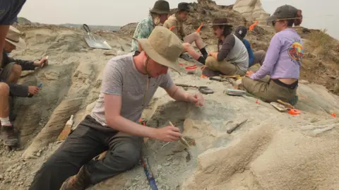 University of Reading A team works at Dinosaur Provincial Park in Alberta, Canada. 