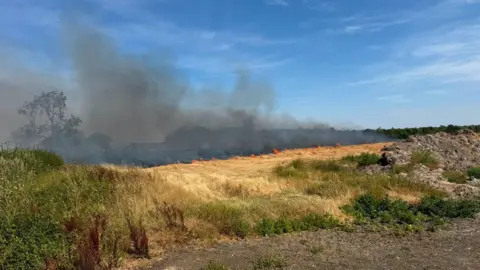 Thames Valley Police Mounted Section A fire in a field. Flames and black smoke spread along the length of the field. In the foreground there is a hedgerow and a lane. There is a blue sky.