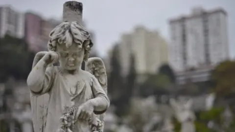 AFP Head stones adorn graves in a Roman Catholic cemetery below residential buildings in Hong Kong (18 December 2012)