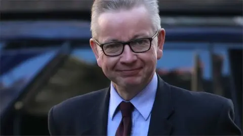 Getty Images Michael Gove