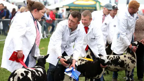 Pacemaker Competitors at Balmoral 