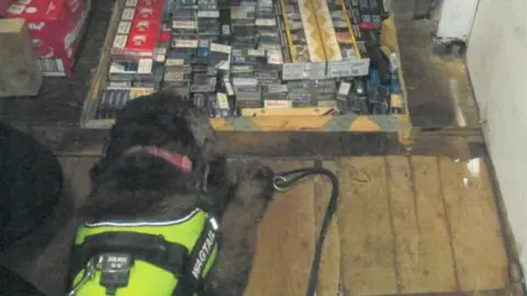 Bradford Council A black sniffer dog wearing a reflective yellow vest, lies next to a box of cigarettes.