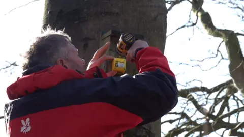 National Trust A ranger at work on a nest box. He is working a drill and wearing a black and red coat