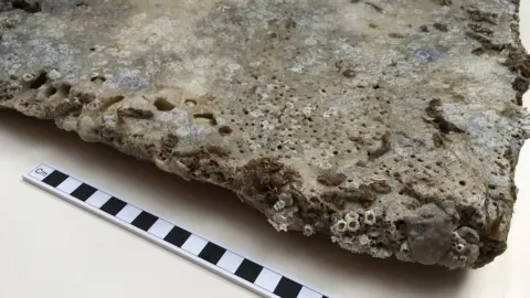 Nautical Archaeology Society Marble tile found at the wreck site