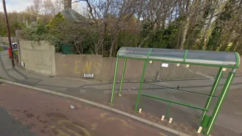 Google A green-painted mostly-glass bus stop stands in front of a wall, behind which are trees and an obscured old green-painted bus stop in the undergrowth