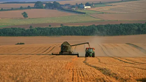 Avalon/Getty Images Lincolnshire landscape