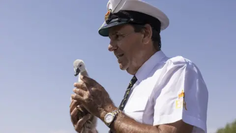 Getty Images David Barber and a cygnet