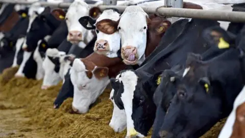 Getty Images Farming