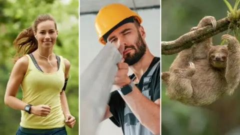 Montage image: woman running with wired earphones with yellow vest top; Construction worker in yellow hat and overalls looking along a metal pole towards the camera; a Sloth in a tree