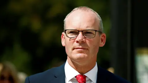 Simon Coveney wearing a suit and red tie