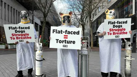 PA Media Three people wearing dog masks are holding up signs. Two of them read "Flat-faced dogs struggle to breathe". The one in the middle reads: "Flat-faced = torture". They are all wearing oxygen masks linked to oxygen tanks next to them. 