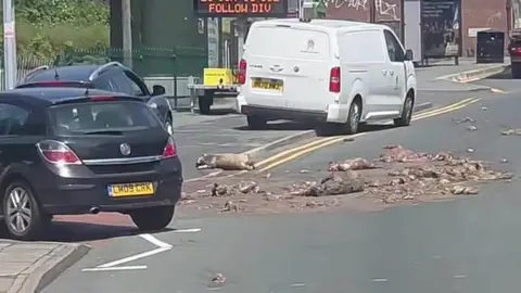 Staffordshire Events Cars drive onto the pavement by a main road, where there is a large pile of offal, including bodies of animals. A black car is turning left in front of us, with a white van on the kerb further down the road.