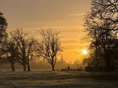 Caitlin McLaughlin A sunrise or sunset, with an orange coloured sky above trees on a misty day.