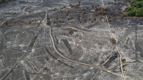 An aerial image shows the damage to Dunwich Heath. A huge area is scorched black, grey and white. Some paths are visible and there are tyre marks through the landscape. Some trees are visible and a vehicle kicking up sand can be seen on one of the pathways.