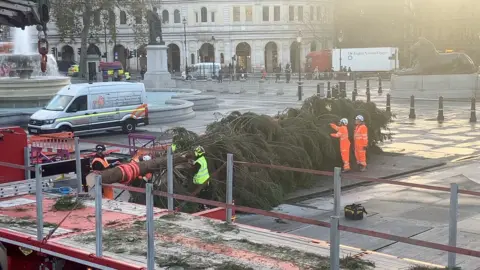 Six workers in high vis jackets taking the tree off a truck and positioning it on the ground