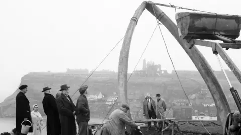 Whitby Museum Collection A black and white photo of the whalebone arch being raised in 1964. Several men in top hats are stood by watching on.
