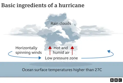 A BBC graphic describes the basic ingredients of a hurricane, comprising and ocean surface and water mass with temperatures higher than 27C (81F), a low pressure zone above with horizontally spinning winds, and hot and humid air rising to form rain clouds