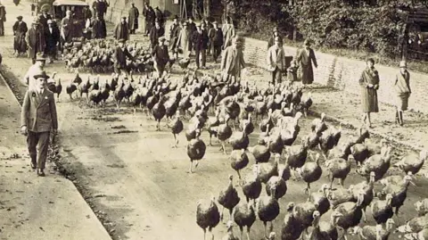 A sepia photo of some 200 turkeys walking along a road. Two herders or drovers wearing flat caps, are inbetween the turkeys. The street is a busy one with several people in formal hats, suits and coats are walking on pavements either side of the road. A child being pushed in a pram is peering out at the birds. A car can be seen in the background behind the turkeys.