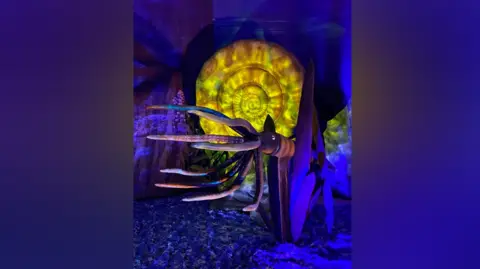 Peterborough Cathedral Monsters of the sea at Peterborough Cathedral