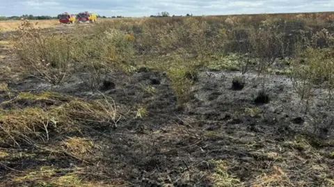 Fire-damaged crops in a field, with two fire engines parked in the distance. 