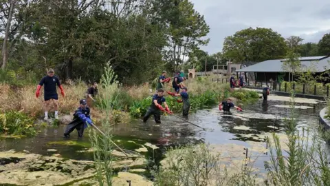 Bristol Bears A group of players wearing navy blue tops and trousers with red gloves and waders. They are helping to clean a pond. Some are standing in waist-deep water - others are on the bank holding rakes.