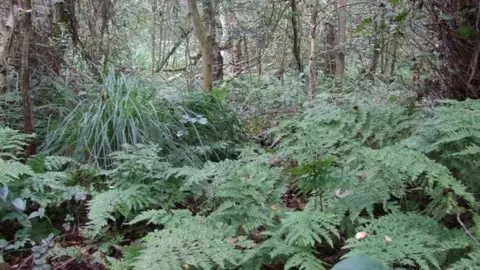 Malcolm Temple/Geograph Askham Bog in 2010