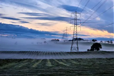 Victor Tregubov A misty morning showing pylons and trees in a field.