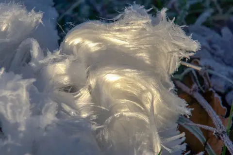 Frank Urban Hair ice