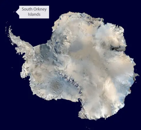 Davepape Antarctica