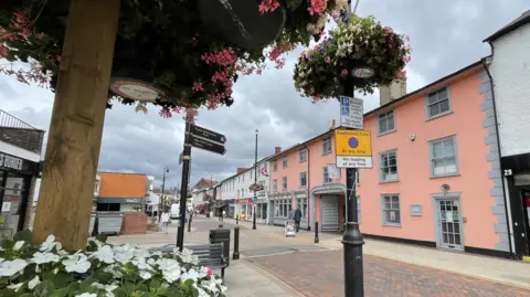 Street scene showing trees, signs, a large pink and grey building and shops.