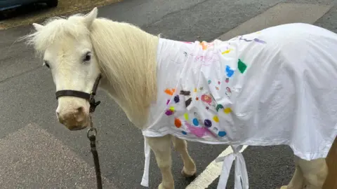 Alexa Rusakoff/BBC A small white horse wearing a white cape with a variety of colours painted on it. 