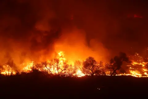 Reuters Lilac Fire in California