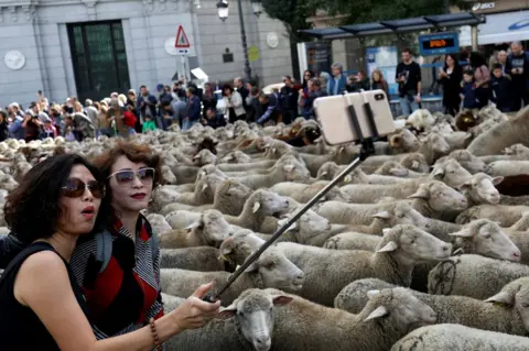 Susana Vera / Reuters Women take a selfie next to a flock of sheep during the annual parade of the animals through Madrid, Spain, 21 October 2018
