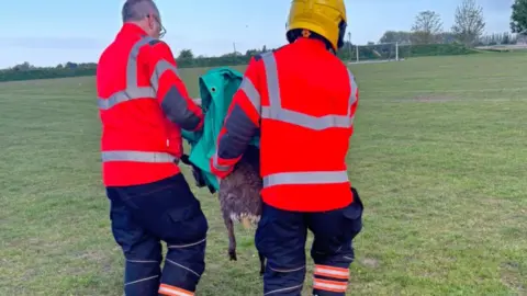 Cambridgeshire Fire and Rescue Service Firefighters carrying a deer