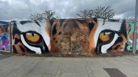 James Thompson/Wall Games A street art mural featuring a close up of a tiger's eyes.