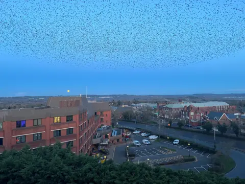 Eleanor Lawson The murmuration over the skyline of Redditch