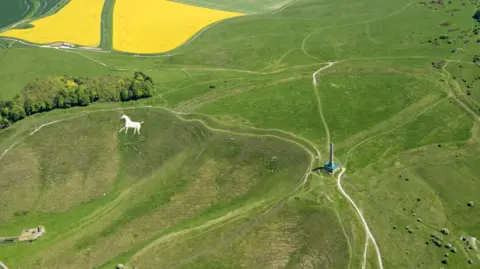 Getty Images A white horse on a grassy hillside with a large monument beside it.